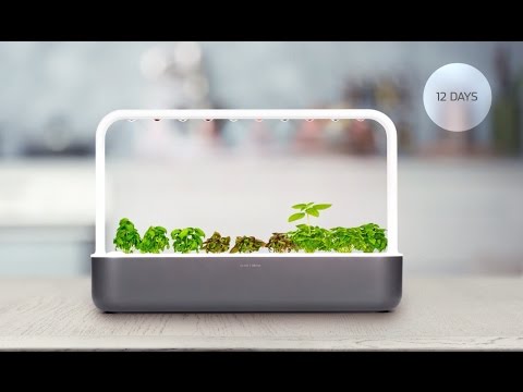 Back the Click & Grow Smart Garden 9 on Kickstarter!