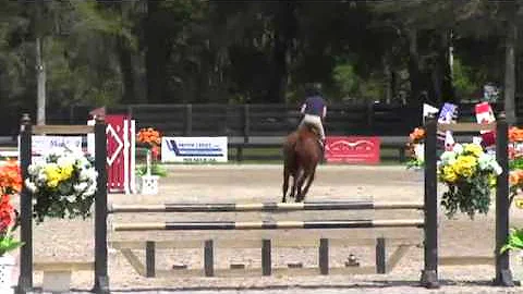 Video of Sochi ridden by Eileen O'leary from ShowN...