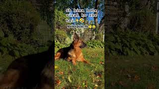 bina bolne ka trend 😂😂 | learnandfun #comedy #fun #memes #trending #dog🐶 #funniestvideo #funnymoment