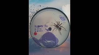 Super Flu - Preem
