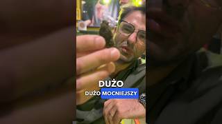 Zobacz Jakiego Zioła - Lepiej Nie Kupować Będąc W Grecji