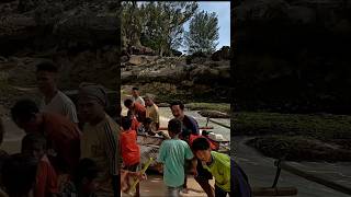 Fishermen in Sumba catch thousands of fish! ?? #sumba #travelvlog #indonesia