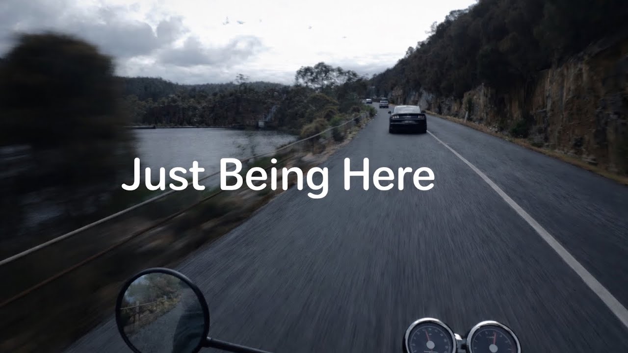 POV Motorcycle Ride | Royal Enfield Interceptor 650 | Paradise Gorge, Tasmania