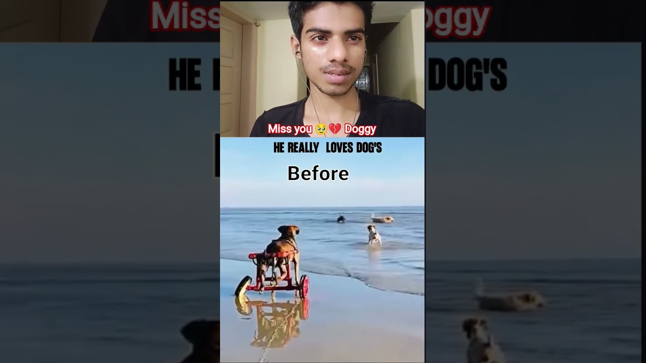 I'm not crying, you are! 😭 #shortvideo #emotional #dog