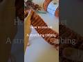 How To Crochet a Stretching ribbing