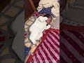 Baby Falls from Pillow on Bed π’