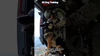 When Elite K9 Units Deploy From The Sky.#ExtremeDogs #fyp #FirstJump #Skydiving#foryou #BravePups