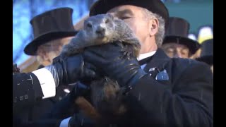 Groundhog's Day Celebration at Gobbler's Knob Livestream - 2/2/2020