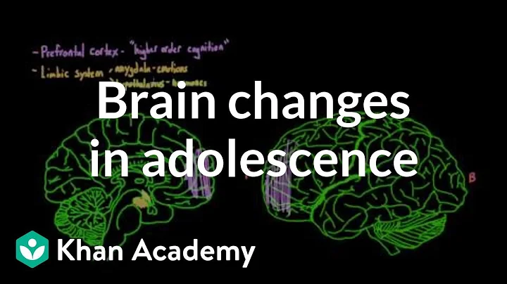 Brain changes during adolescence | Behavior | MCAT | Khan Academy - DayDayNews