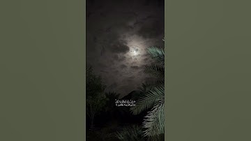 قران كريم استغفر الله الحمد لله