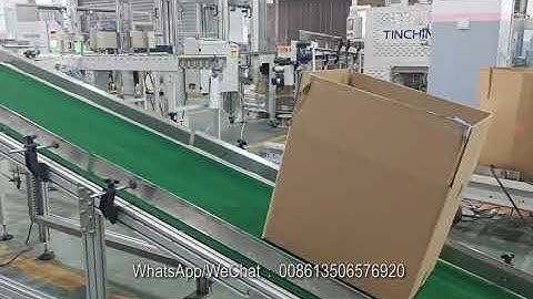Fully auto paper bowl packing line shipping to Belgium