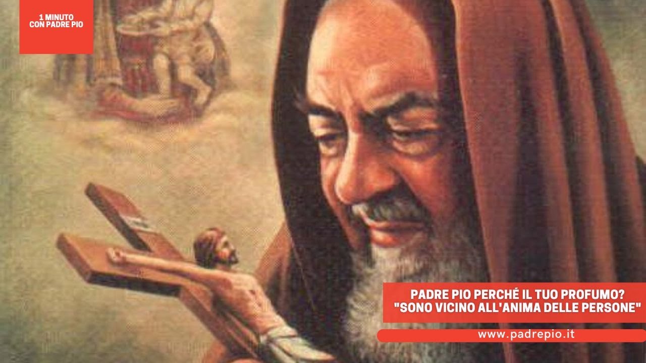 Padre Pio Profumo Pino Padre Pio perché il tuo profumo? "Sono vicino all'anima delle persone