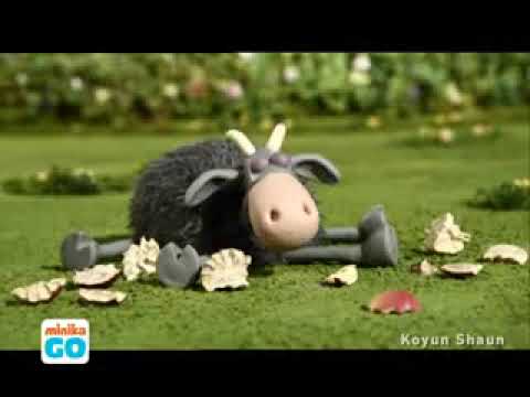 مزرعة الرجل والخرفان الشوماشي 