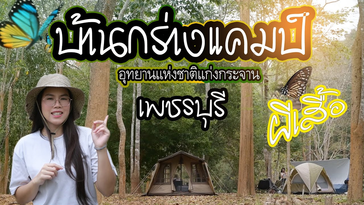 กางเต็นท์ชมผีเสื้อ บ้านกร่างแค้มป์ อุทยานแห่งชาติแก่งกระจาน จ. เพชรบุรี