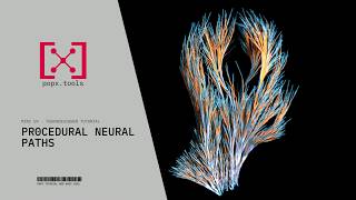 How to Build Procedural Neural Paths with POPX - TouchDesigner Tutorial