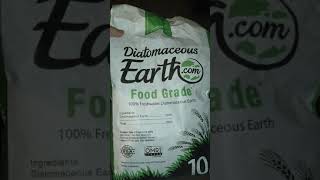 Prevent and get rid of fungus gnats!