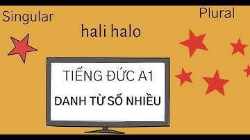 Tiếng Đức A1 - Tự học tiếng Đức - Danh từ số nhiều