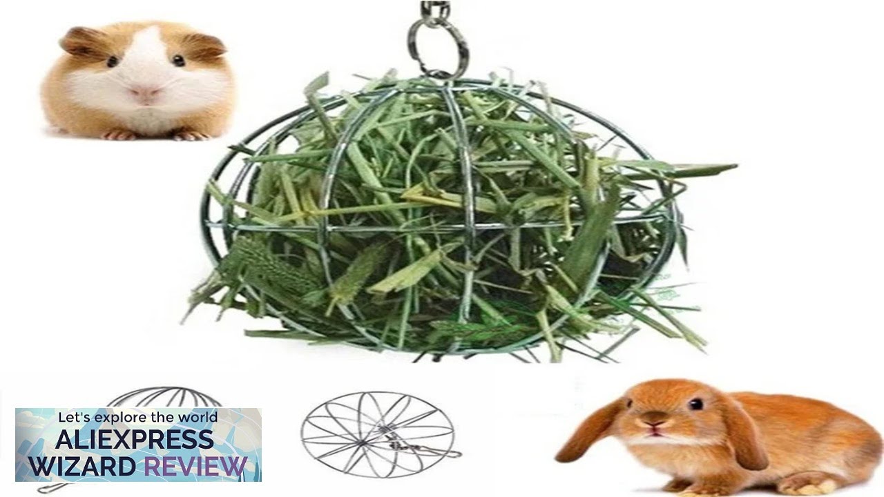 Rabbit Guinea Pig Grass Ball Pet Feeder Multipurpose Hay Ball Hanging Ball Review