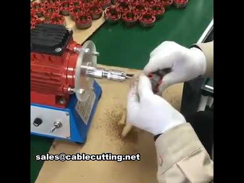 Copper Wire Enamel Remover and Cable Peeling Machine WPM-02-A