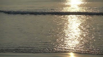 Motion Graphics Background Loop 4k- Sunset at the beach motion background-Background video animation