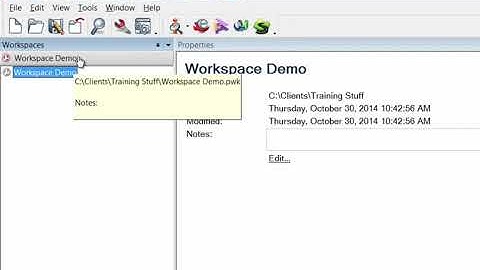 PolyWorks: Workspace Explanation