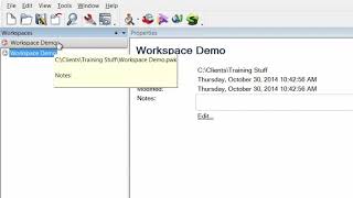 PolyWorks: Workspace Explanation