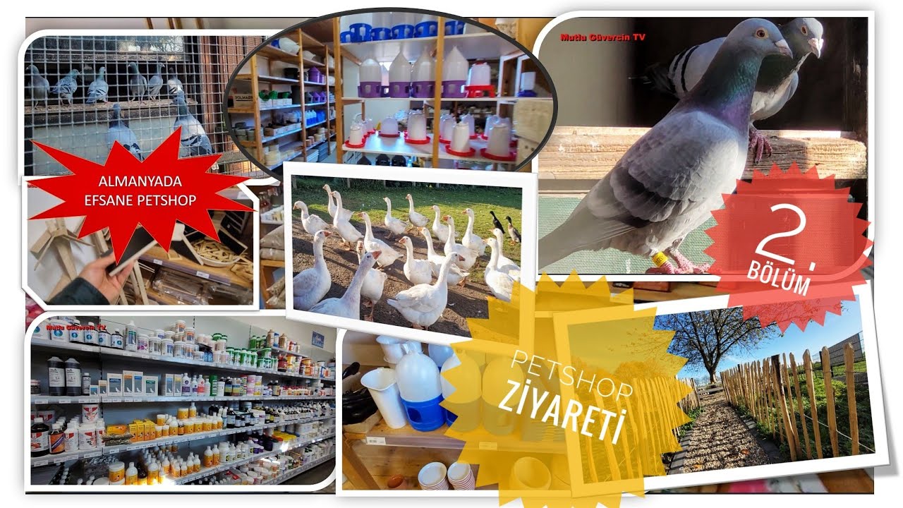 #Mühle Gladen #PETSHOP ZİYARETİ  ALMANYA -  2. BÖLÜM -  BİG SHOP FOR BIRD AND MORE
