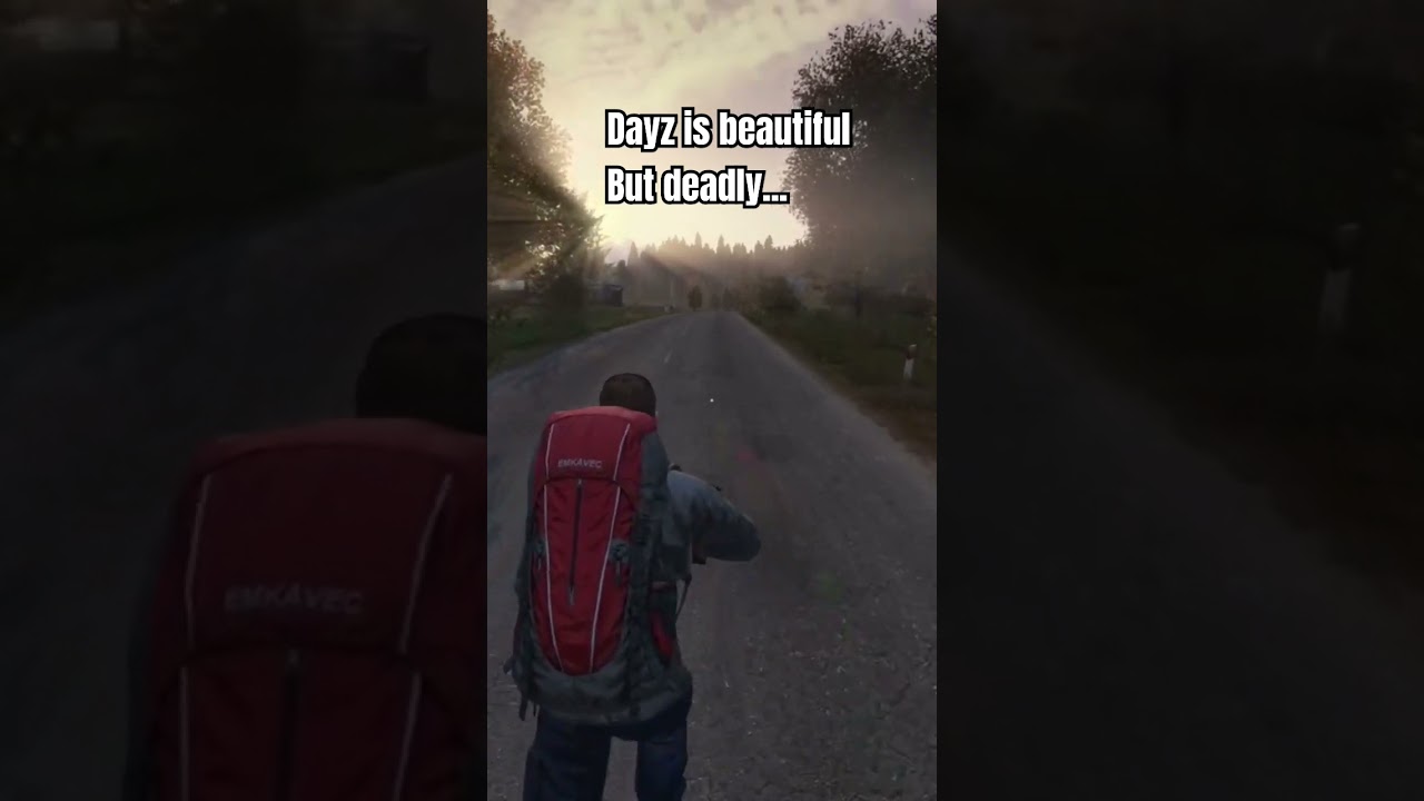 Dayz is beautiful 