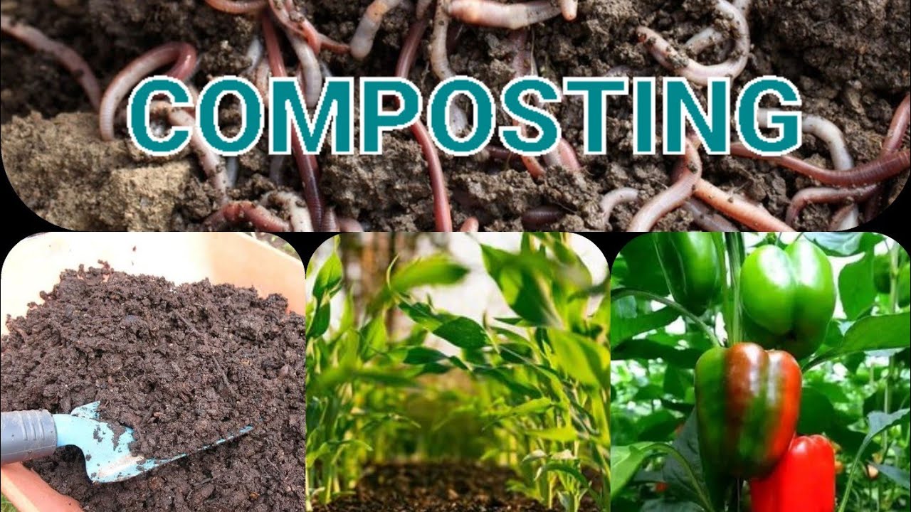 How to make Compost & Biochar to improve soil fertility #soilfertility ...
