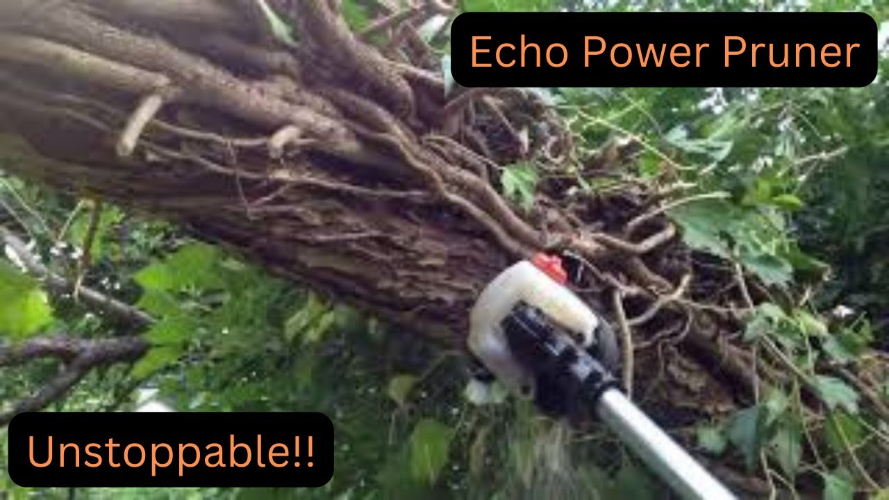 Echo Power Pruner slicing through 5" rounds
