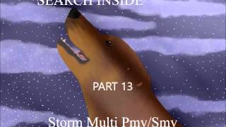Survivors Storms search Inside Multi Smv/ Pmv Open!