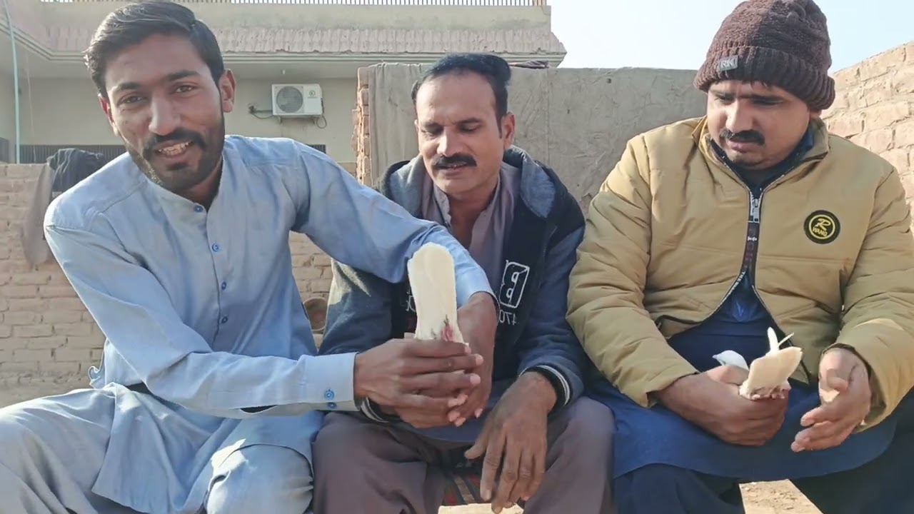 صدر ناگ گروپ استاد رانا رفاقت کی چھت کا انٹرویو 