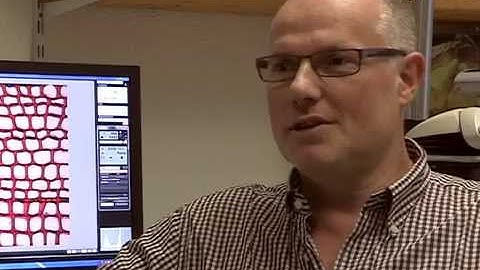 A Technical Perspective in Modern Tree-ring Research