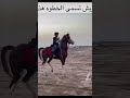 تصميم سعد الخيال الصغير خيل اصيل اكسبلور خيل الخيل ترند حصان ترند تيك توك Horse تيك توك 