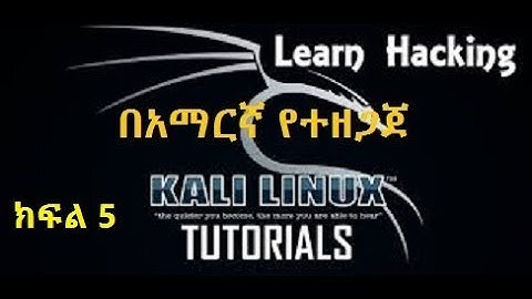 Basics of Kali Linux Terminal Commands - Part 2 (Amharic)