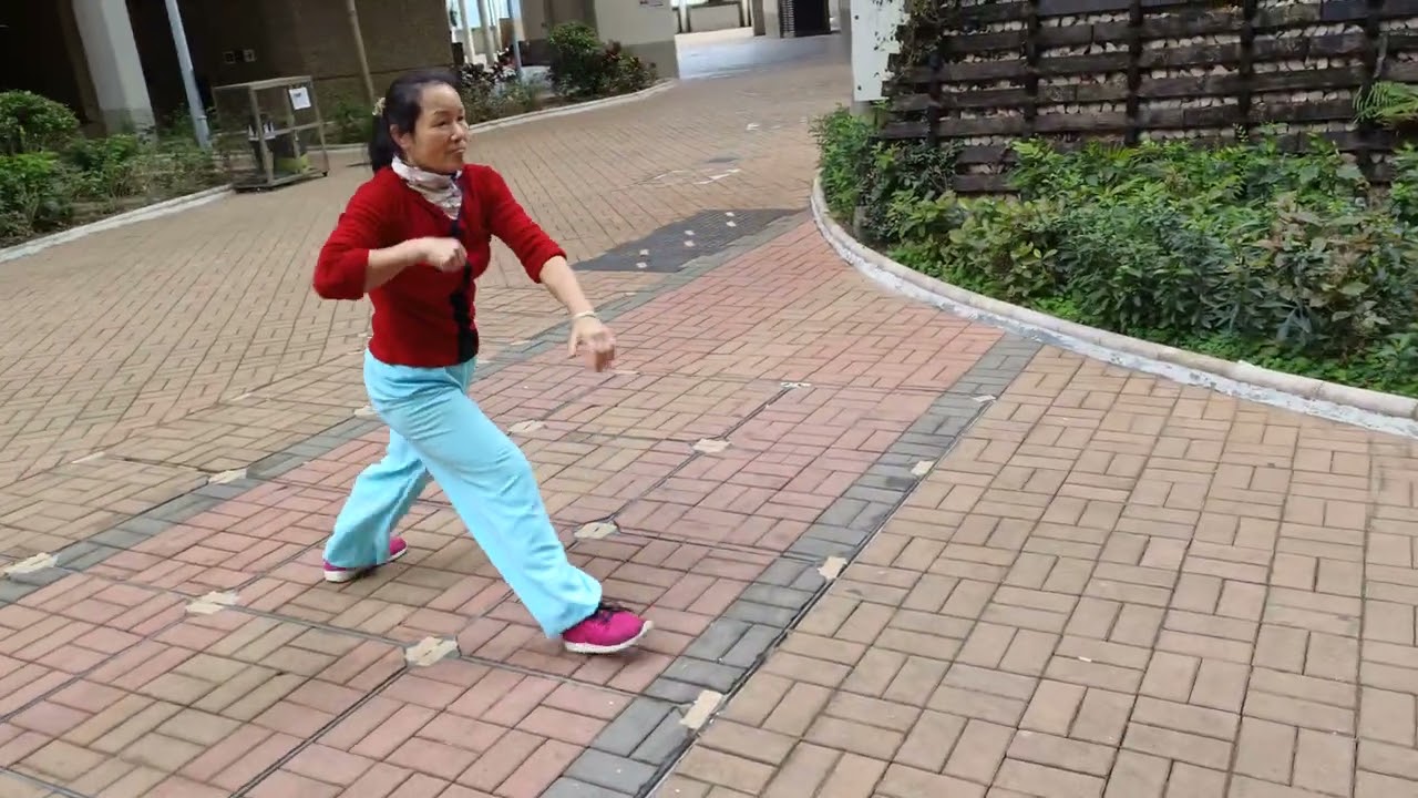 Mui Fa quan 梅花拳