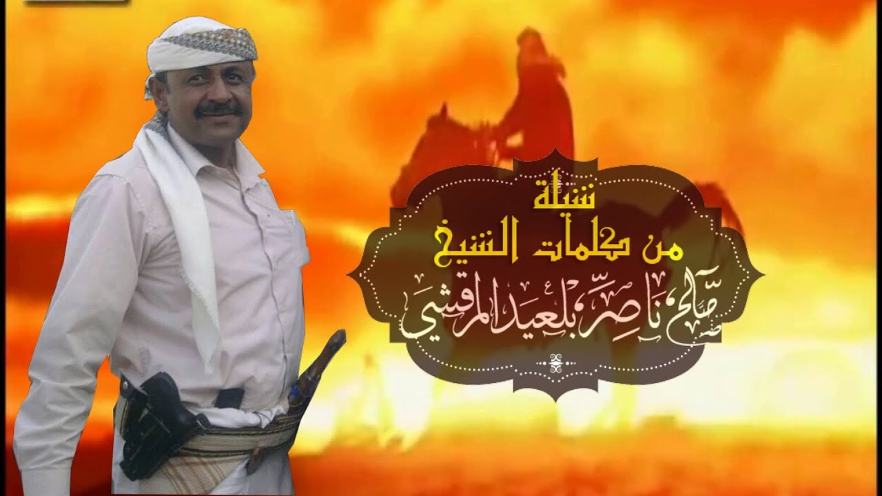 شيلة كلمات الشيخ صالح ناصر بلعبد المرقشي اداء /ابوحنظلة