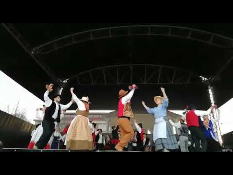 Rancho folclorico Divino Salvador de Del&atilde;es Famalic&atilde;o-com de baixo da oliveira(5)