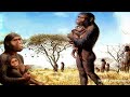 How did humans evolve from apes  how did humans evolve from apes discovery of human evolution