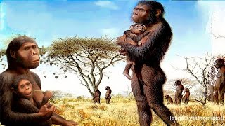 How did humans evolve from apes? , How did humans evolve from apes? |discovery of human evolution
