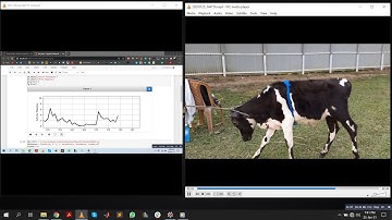 (Short Video) Real Time Activity Monitoring of Cow with Accelerometer