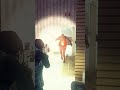 How To Handle Bloaters? State Of Decay 2 Lethal Zone