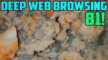 THE ANIMAL LIBERATION FRONT!?! - Deep Web Browsing 81