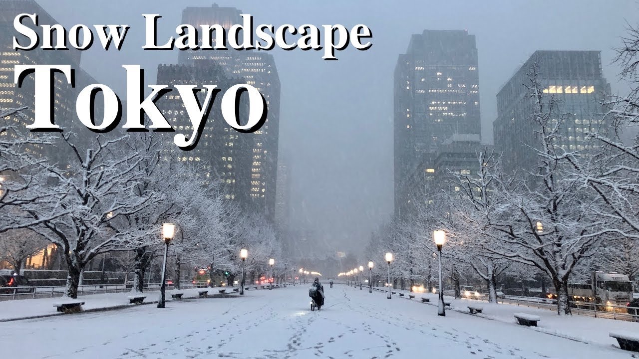 【The Snow Landscape】Tokyo station & Imperial Palace Double Bridge - Tokyo(Jan.6.2022)