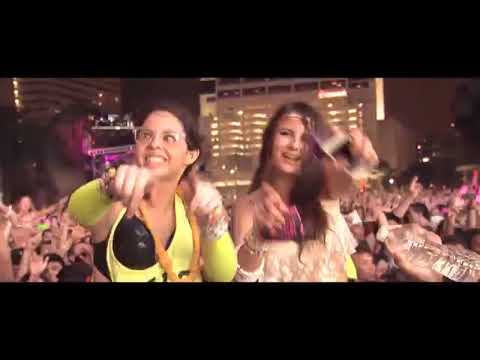 Avicii - Wake Me Up (Lyrics + Pronunciación AFI)