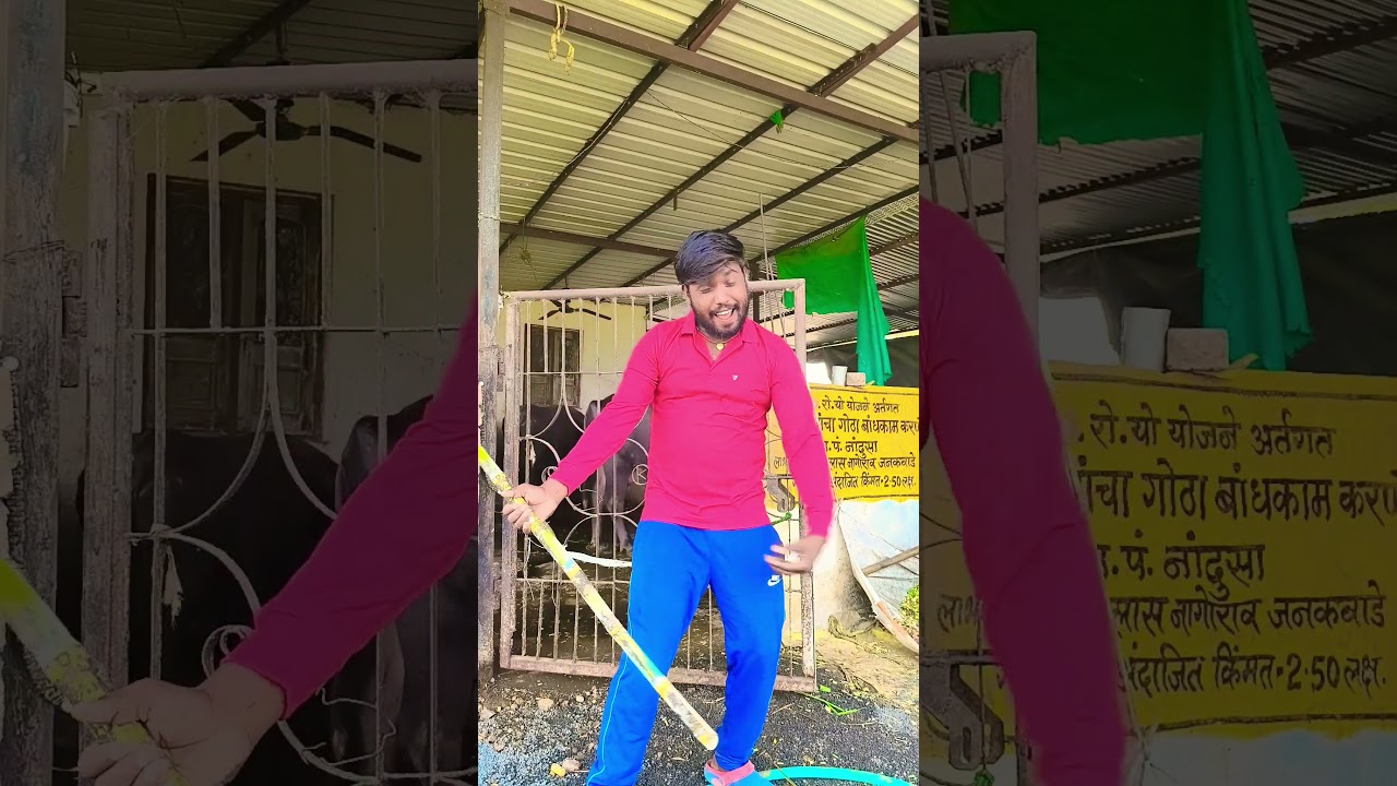 दीवाना मैं तेरा 