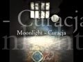 Moonlight - Curacja