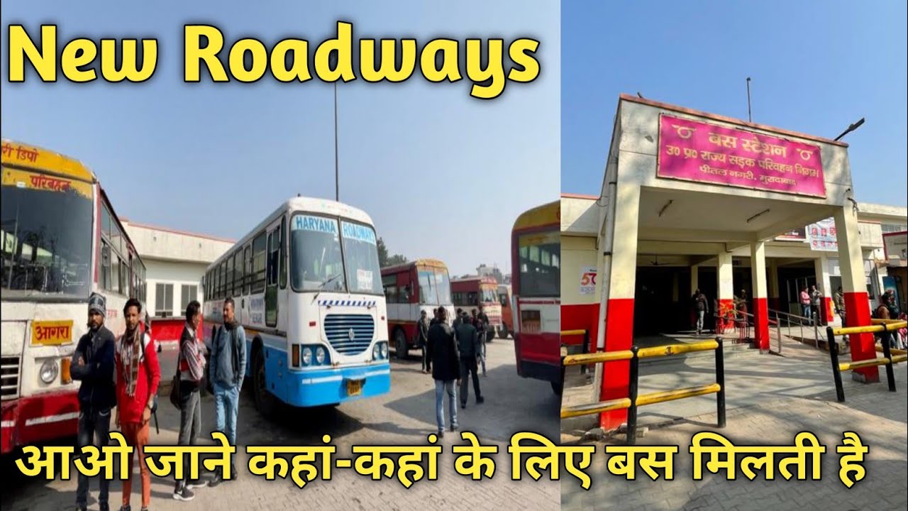 Moradabad New Roadways || कहां-कहां के लिए बस मिलती है|@raghav moradabadi vlog