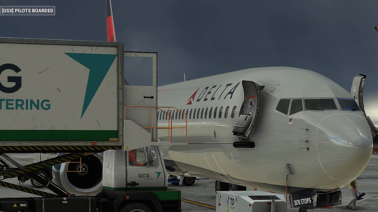 Delta PMDG 737 900 GSX PRO Santo Domingo MDSD A New York KJFK - YouTube