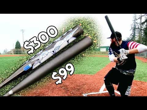The CHEAPEST Slowpitch Softball Bat vs. The MOST EXPENSIVE Slowpitch Softball Bat